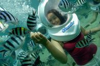 SEAWALKER PACKAGE